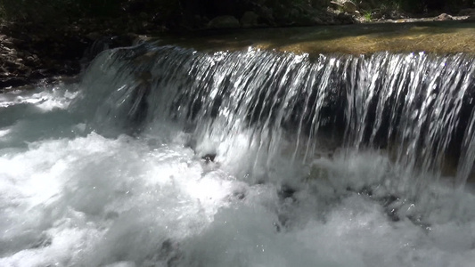 河道视频