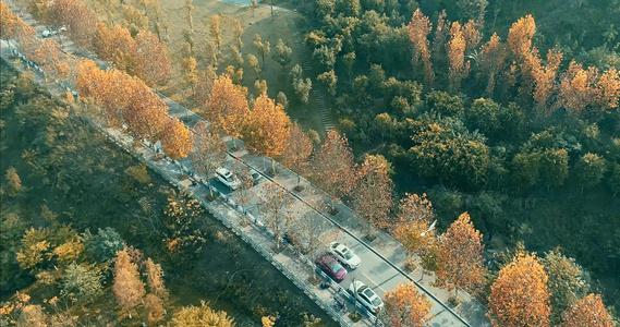 秋天的道路上汽车行驶航拍视频