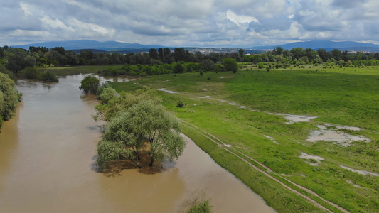 河水泛滥泉水涌在地表的林中山岳成树视频