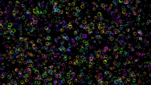 泡泡色运动11秒视频
