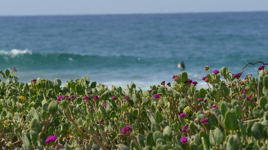 在海滩加利福尼亚海岸线美国的大蓝色潮浪太平洋沿岸海岸视频