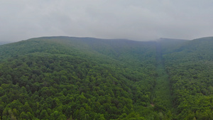 山林风云中的清晨雾与森林30秒视频