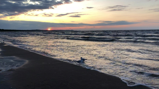 黄海沙滩日落视频