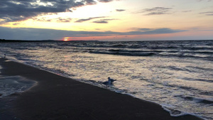 黄海沙滩日落17秒视频