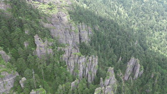 航拍湖北神农架神农顶景区神农谷悬崖峭壁视频