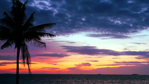 海中月光的椰子日落和天空中的热调云16秒视频