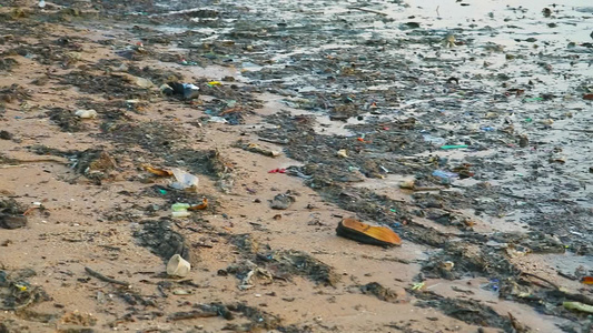 海滩上丢弃着泡沫和海草的沿海废物海浪将它们吹入大海视频