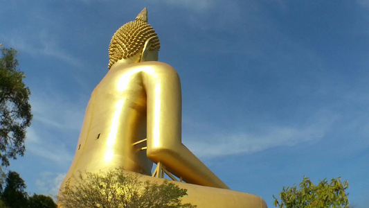 buddha雕像视频