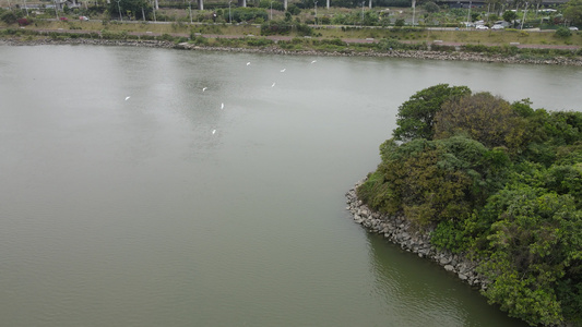 河流生态保护区视频