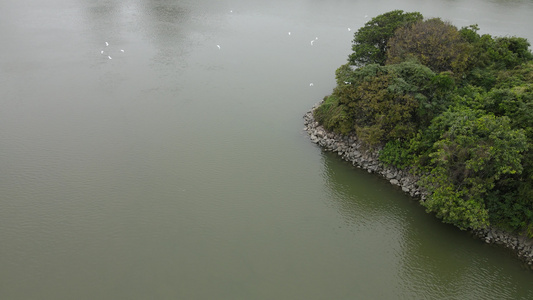 河流生态保护区视频