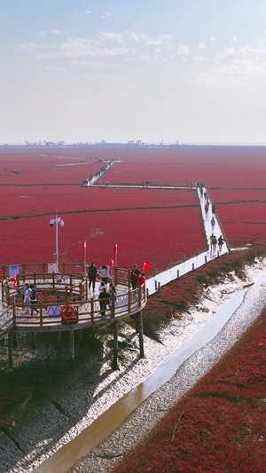 盘锦市红海滩国家风景廊道5A级旅游客人合影留念一望无际59秒视频