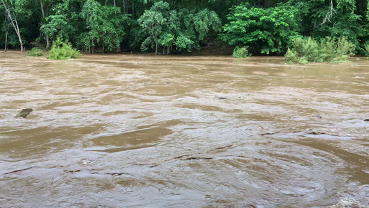 雨季时森林泛滥洪水的原因是森林破坏造成的视频