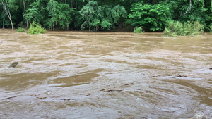 雨季时森林泛滥洪水的原因是森林破坏造成的25秒视频