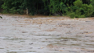 雨季时森林泛滥洪水的原因是森林破坏造成的28秒视频