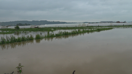 由于暴雨造成大量水流使村庄树木和洪水淹没在洪水中视频