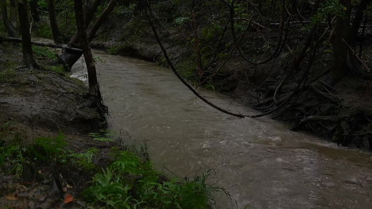 雨季森林下雨流水溪水视频