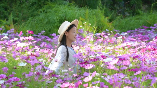 1080升格格桑花海里的少女视频