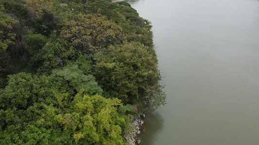 河流生态保护区视频