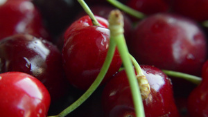 近距离拍摄成熟的红樱桃在白色背景上旋转13秒视频