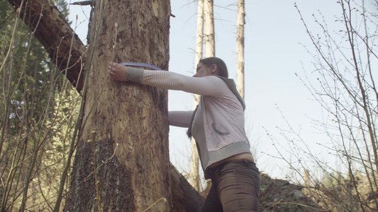 森林测量损害树的生态学家视频