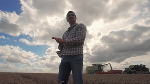 检查小麦的农民10秒视频