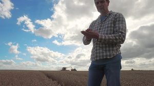 检查小麦的农民14秒视频