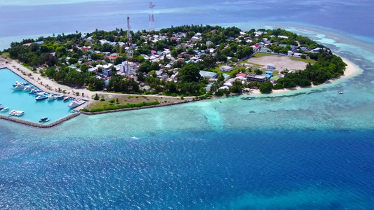 以蓝水和清洁沙土背景在度假胜地附近观看海滩野生生物视频