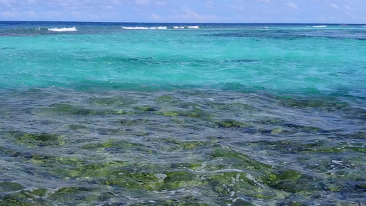 夏季旅游的奇异海岸海滩生活方式由棕榈附近有白沙背景视频