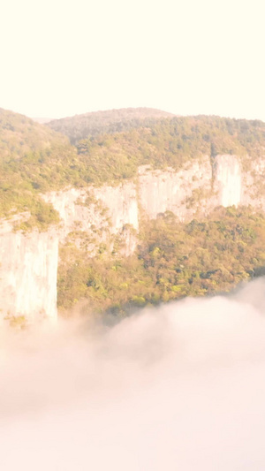 山间云雾仙境的大山半山腰的云27秒视频
