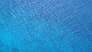 透明的大海11秒视频