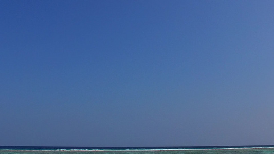 棕榈附近有白色沙滩背景的透明大海放松海滨海滩生活方式视频