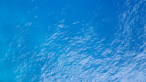 美丽的环礁湖海滩的自然日光天化由蓝海游过珊瑚礁附近11秒视频