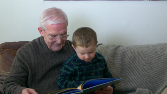 爷爷和孙子一起读书视频