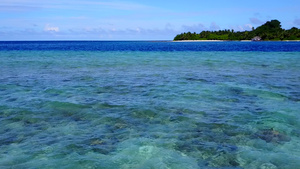 白沙背景的蓝大洋在珊瑚礁附近进行海洋海岸海滩野生生物10秒视频