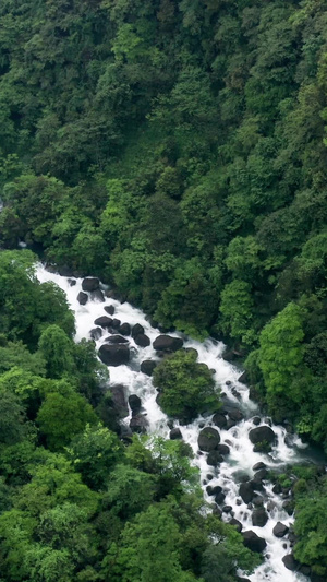 航拍峨眉山云雾缭绕河流美景78秒视频