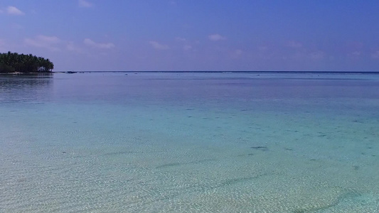 通过蓝海和棕榈附近清洁沙地背景的海滩野生生物海洋景观视频