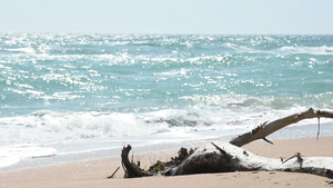 夏季沙滩大海海浪13秒视频