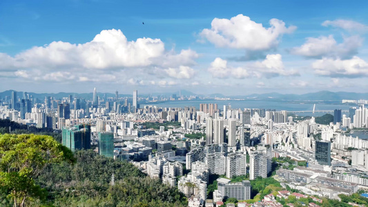 4K深圳南山城市楼群风景延时视频