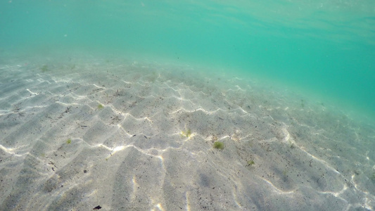 红海中阳光结构的沙沙海平面视频