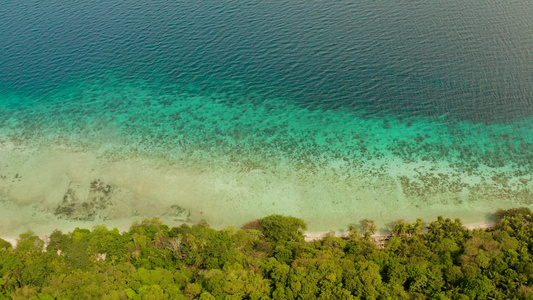 椰子树和松绿的环礁湖视频