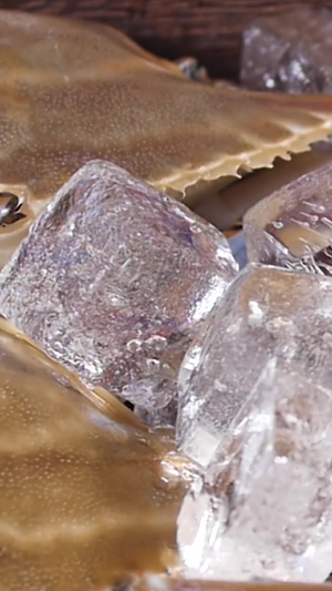 营养大闸蟹大螃蟹39秒视频