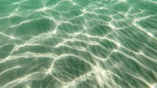 热带海水晶清水的水深处的洋底视频