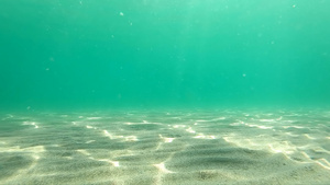 具有透明清晰的水海底和表层从下至下自水下观测的28秒视频