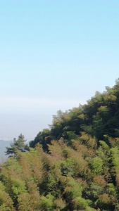 5A景区衢州江郎山摩崖石刻航拍视频大自然视频