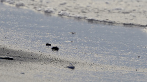 沙滩电影dof背景环的软海浪及泡沫20秒视频