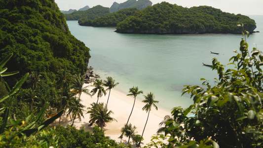 绿色丛林附近的平静海面泰国安通天堂国家公园的宁静海洋视频