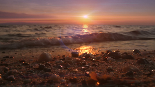 金黄夕阳海滨海浪视频