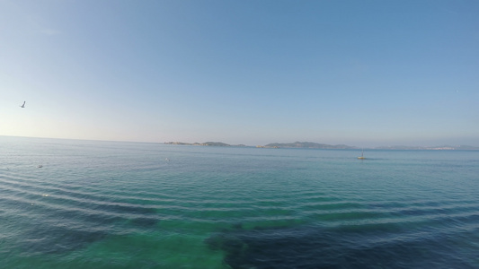 海鸥鸟和公海海平面背景视频