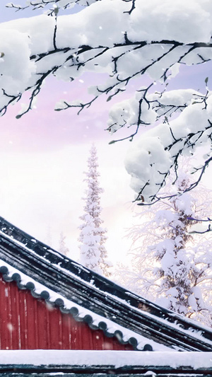 中国风古建筑冬季雪花飘飘背景视频40秒视频