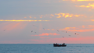海上日落时的帆船海鸥飞过渔民的船在背景中的日落海在30秒视频